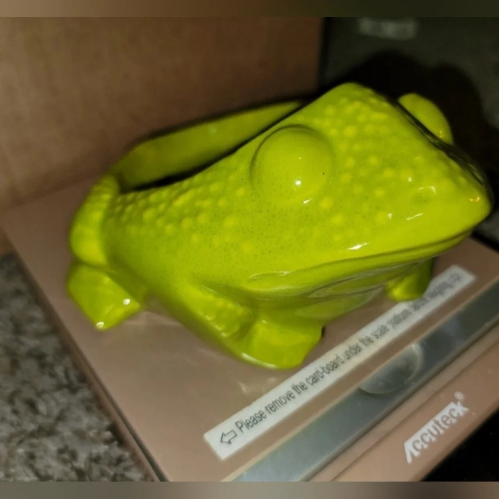 Green Frog Reptile Soap Dish Vintage